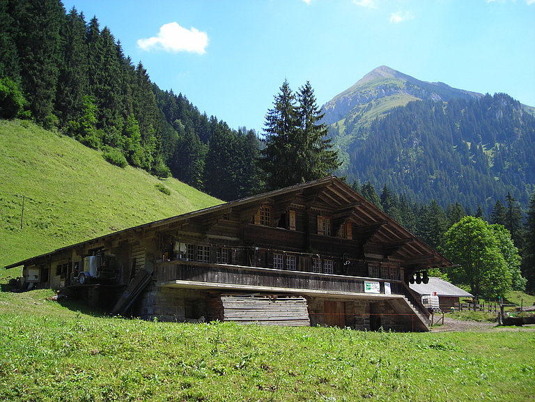 Suldtalhütte-Morgenberghorn-Sommer.JPG 