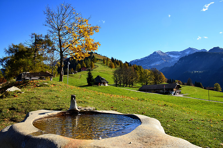 Aeschiallmi-Brunnen-Herbst-1.jpg 