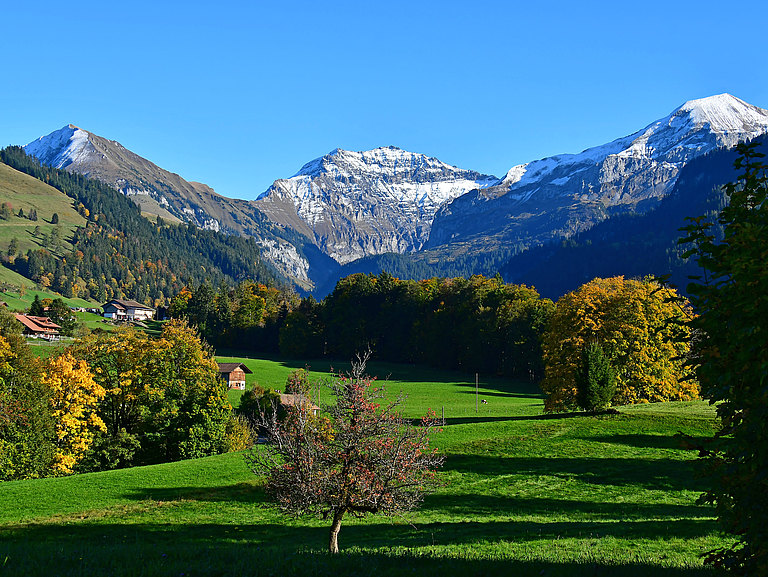 Aeschi-Landschaft-Herbst-2.jpg 