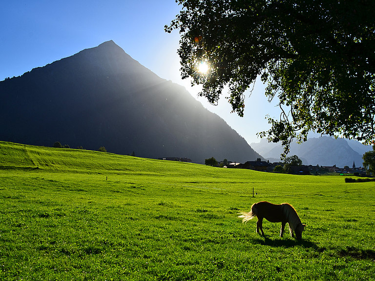 Aeschi-Landschaft-Sommer-3.jpg 