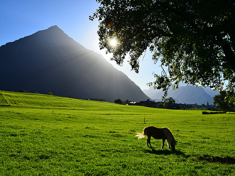 Aeschi-Landschaft-Sommer-3.jpg 